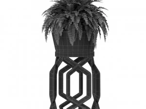 Plants collection 413 3D Model