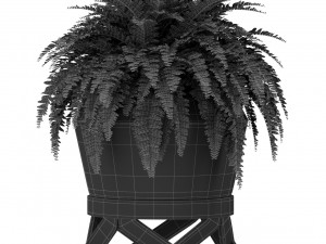 Plants collection 413 3D Модель