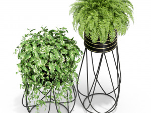 Plants collection 414 3D Model