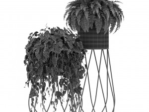Plants collection 414 3D Model