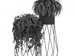 Plants collection 414 3D Model