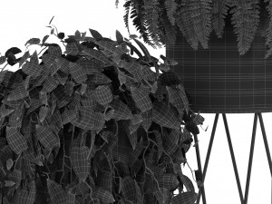Plants collection 414 3D Model