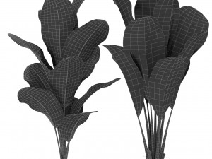 Plants collection 415 3Dモデル