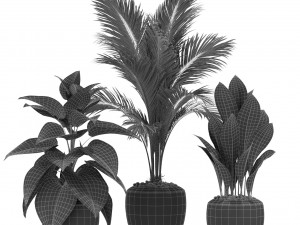 Plants collection 415 3Dモデル