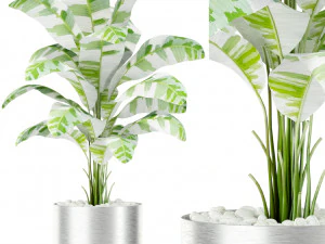 Colecci&oacute;n de plantas 416 Modelo 3D