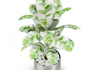 Plants collection 416 3D Model