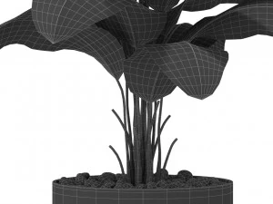 Plants collection 416 3D Model