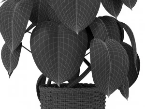 Plants collection 417 3D Model