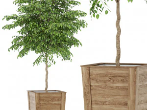 Colecci&oacute;n de plantas 418 Modelo 3D