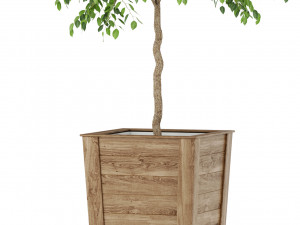 Plants collection 418 Modelo 3D