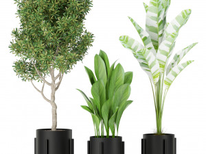 Plants collection 420 3D मॉडल