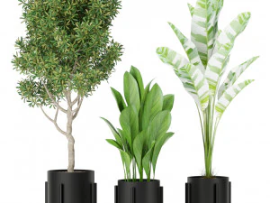 Plants collection 420 3D Model