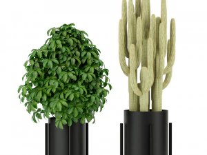 Plants collection 420 3D Model