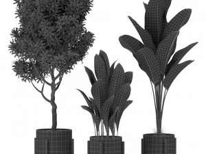 Plants collection 420 3D Model
