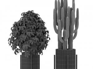 Plants collection 420 3D Model