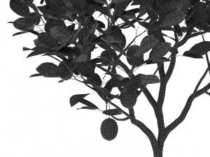 Plants collection 421 3D Model