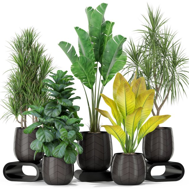 Plants collection 423 Modelo 3D .c4d .max .obj .3ds .fbx .stl .blend 