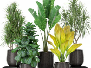 पौधों का संग्रह 423 3D मॉडल