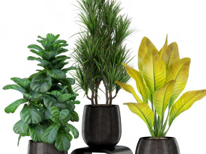 पौधों का संग्रह 423 3D मॉडल