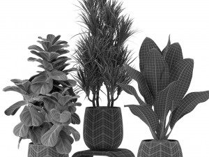 Plants collection 423 Modelo 3D