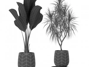 पौधों का संग्रह 423 3D मॉडल