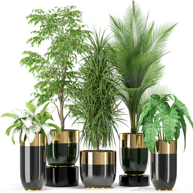 Plants collection 424 3D 模型 .c4d .max .obj .3ds .fbx .stl .blend