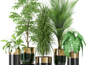 पौधों का संग्रह 424 3D मॉडल