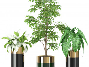 Plants collection 424 3D 模型