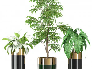 Plants collection 424 3D Model