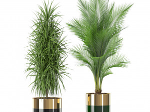 Plants collection 424 3D 模型