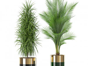 Plants collection 424 3D Model