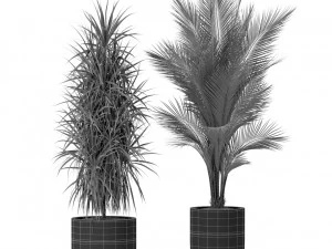 Plants collection 424 3D Model