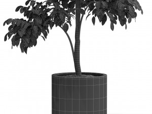 Plants collection 426 3D Модель