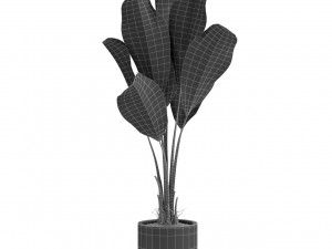 Plants collection 427 3D 模型