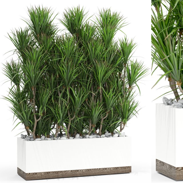 Plants collection 428 3D Модель .c4d .max .obj .3ds .fbx .stl .blend 