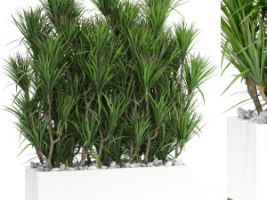 Plants collection 428 Modelo 3D