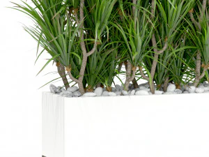 Colecci&oacute;n de plantas 428 Modelo 3D