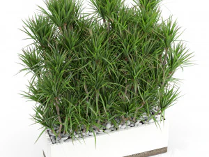 Colecci&oacute;n de plantas 428 Modelo 3D