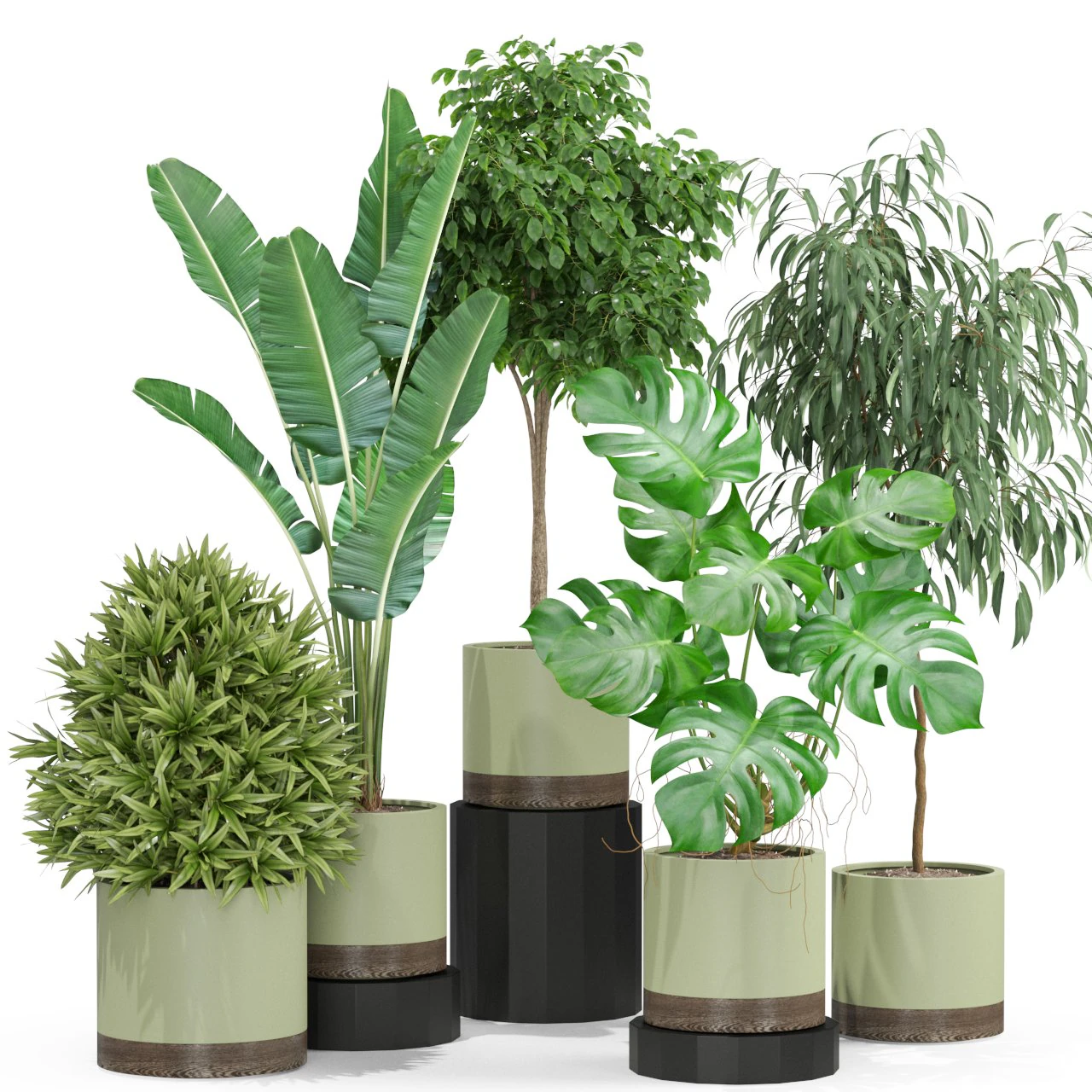 Plants collection 429 3D Model .c4d .max .obj .3ds .fbx .stl .blend 