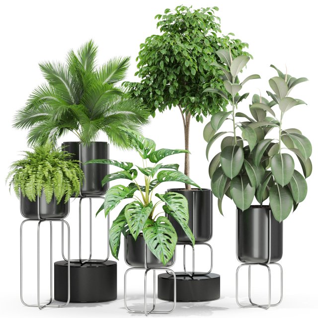 Plants collection 430 Modelo 3D .c4d .max .obj .3ds .fbx .stl .blend 