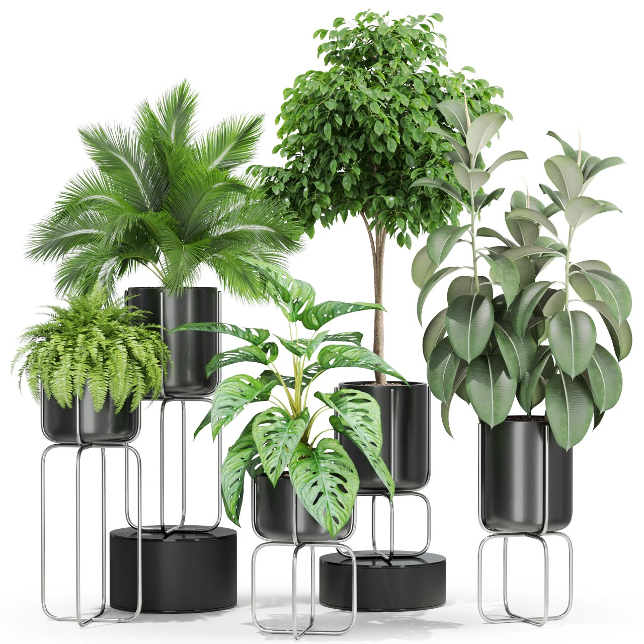 Plants collection 430 3D Model .c4d .max .obj .3ds .fbx .stl .blend 