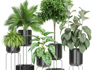 Collezione piante 430 Modello 3D