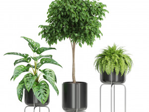 Plants collection 430 Modelo 3D