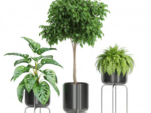 Plants collection 430 3D Model