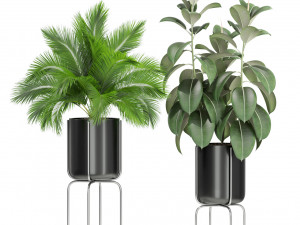 Plants collection 430 Modelo 3D