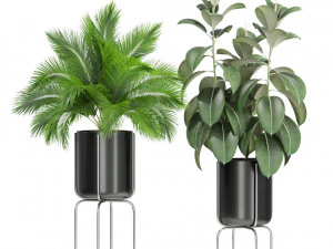 Plants collection 430 3D Model