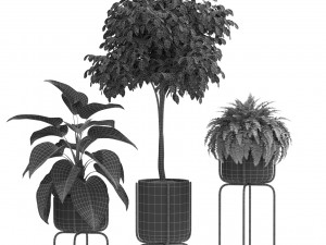 Plants collection 430 Modelo 3D