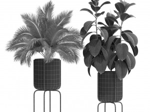 Plants collection 430 Modelo 3D