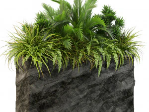 Koleksi tumbuhan 431 Model 3D