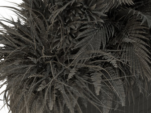 Plants collection 431 3D Model